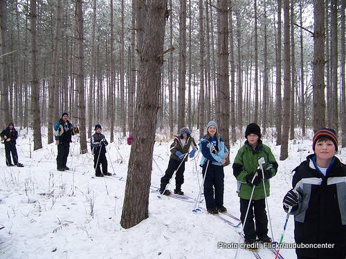 fun things to do in the snow: cross country skiing