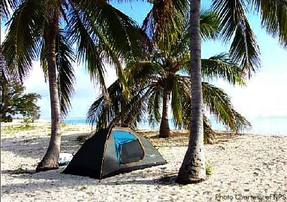 5 Reasons to Set Sail to Dry Tortugas National Park - Trekaroo