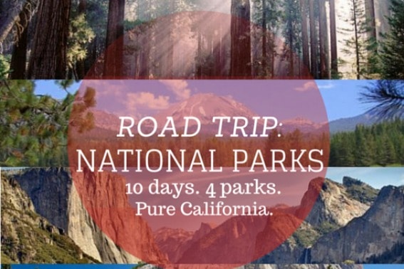 Road Trip: Exploring California's Mountain National Parks - Trekaroo